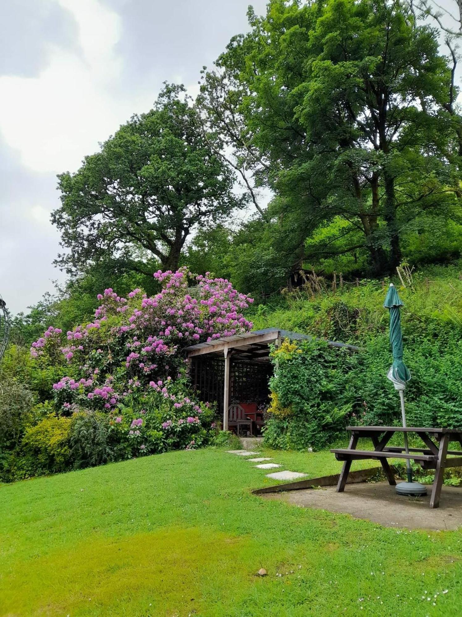 'Morris' The Shepherd'S Hut And Woodland Hot Tub Experience 卡马森 外观 照片