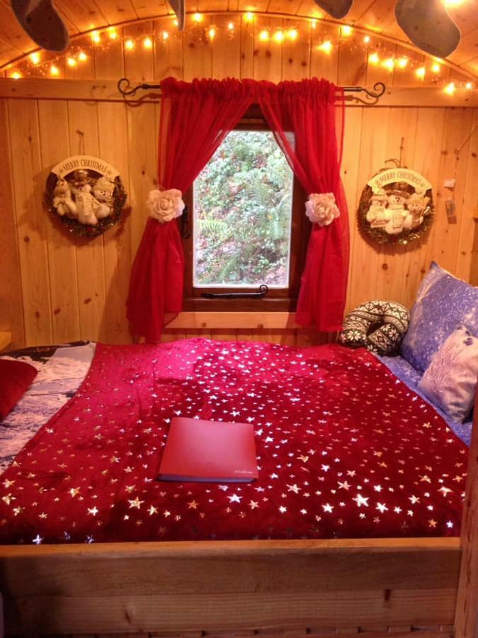 'Morris' The Shepherd'S Hut And Woodland Hot Tub Experience 卡马森 外观 照片