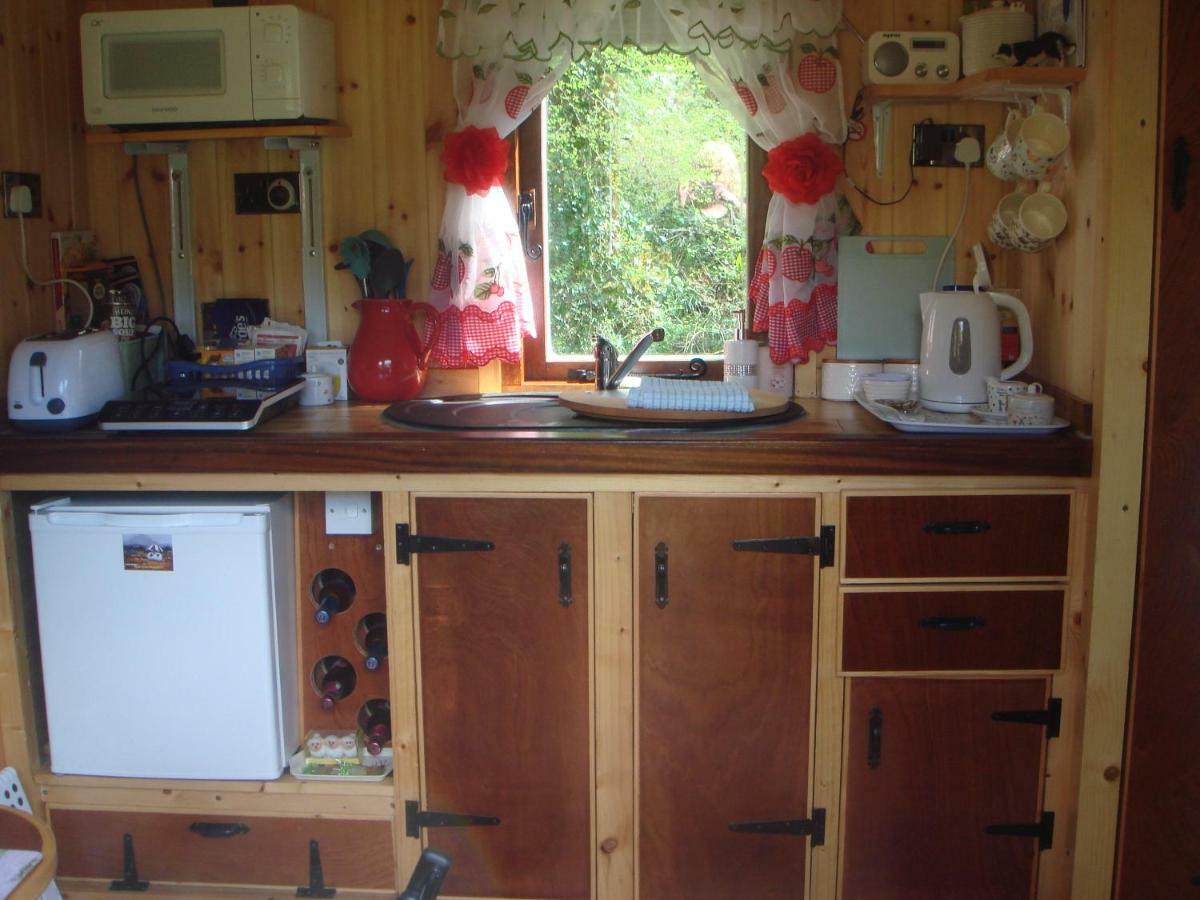 'Morris' The Shepherd'S Hut And Woodland Hot Tub Experience 卡马森 外观 照片