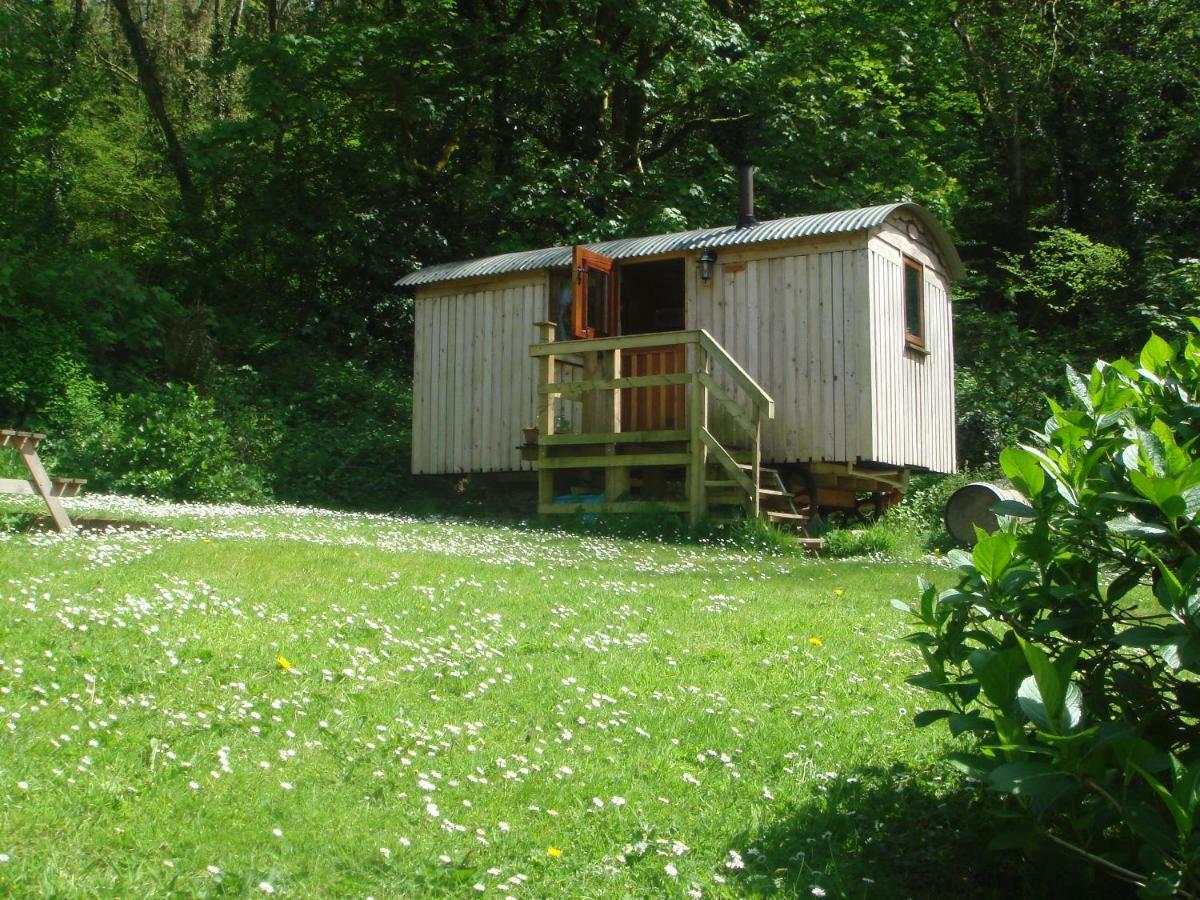 'Morris' The Shepherd'S Hut With Woodland Hot Tub 卡马森 外观 照片