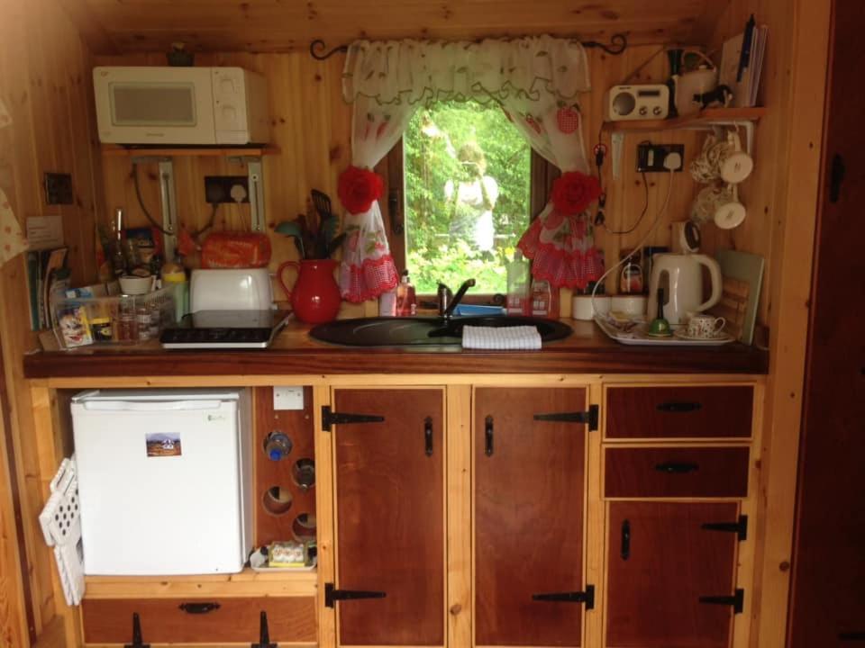 'Morris' The Shepherd'S Hut And Woodland Hot Tub Experience 卡马森 外观 照片