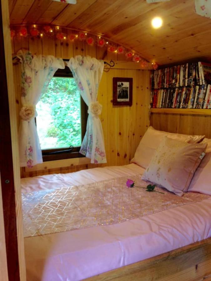 'Morris' The Shepherd'S Hut And Woodland Hot Tub Experience 卡马森 外观 照片